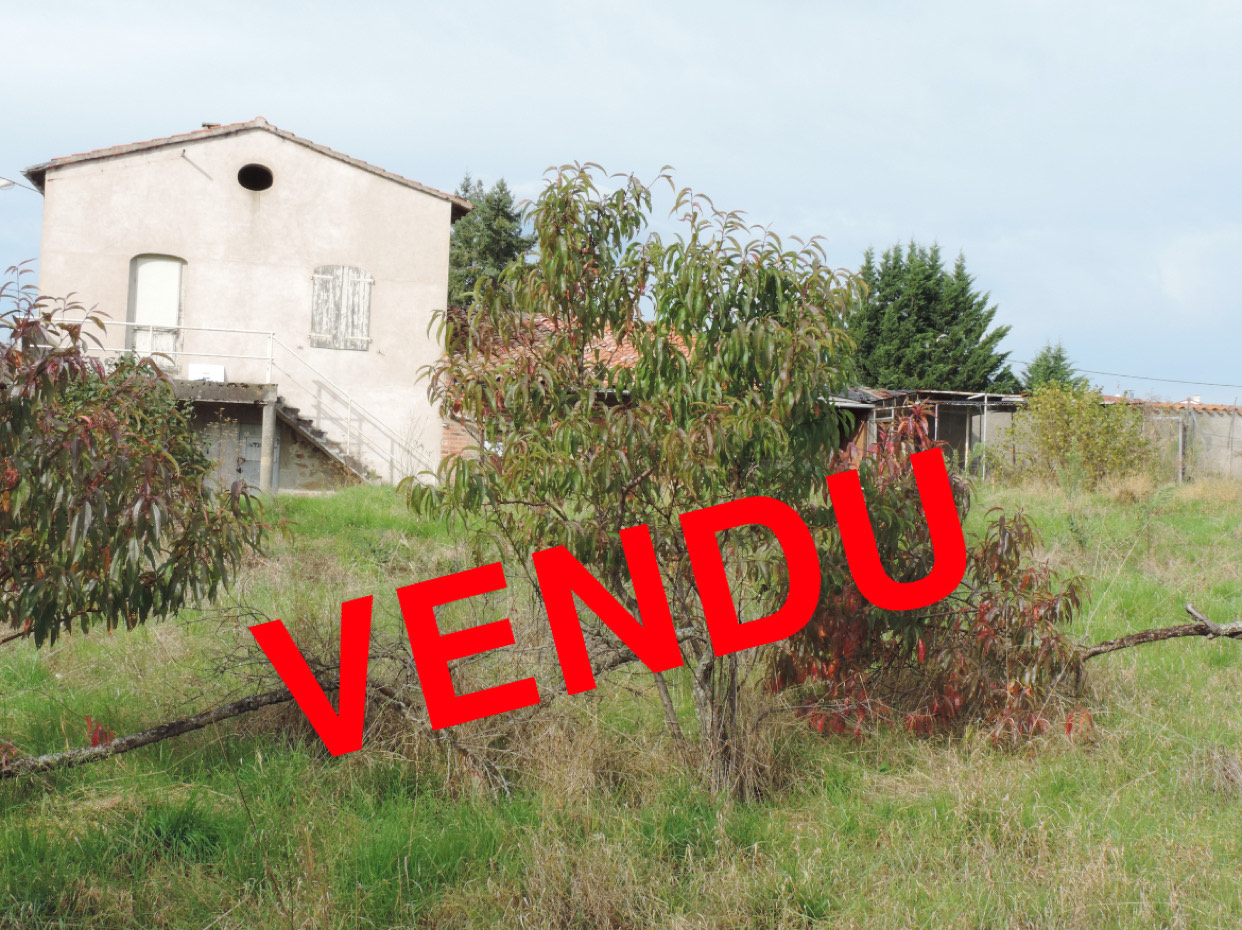 Vente TERRAIN :avec LOGE DE VIGNE . RARE Sur Le SECTEUR